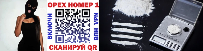 купить наркоту  Нерехта  COCAIN Fish Scale 